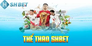 Thể thao Shbet - Sân chơi cá cược trược tuyến uy tín, chất lượng 11 Tìm hiểu sơ lược về thể thao Shbet